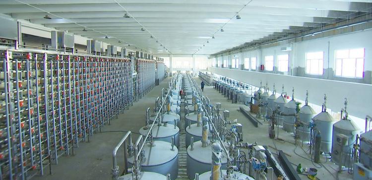 2023德州綠色低碳高質(zhì)量發(fā)展“期終考”丨武城縣、夏津縣、齊河縣、禹城市知識(shí)產(chǎn)權(quán)服務(wù)亮點(diǎn)回顧