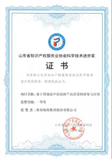 魯南制藥“首薈”項(xiàng)目榮獲山東省知識(shí)產(chǎn)權(quán)服務(wù)業(yè)協(xié)會(huì)科學(xué)技術(shù)進(jìn)步獎(jiǎng)一等獎(jiǎng)，彰顯知識(shí)產(chǎn)權(quán)服務(wù)新高度